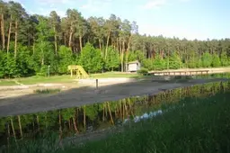 Dailidės ežerėlis šiemet nedžiugins alytiškių