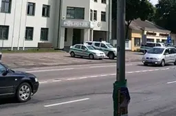 Veršiuką rado papjautą ir išmėsinėtą, kliudė pėsčiųjų perėjoje, nukrito nuo pakylos ir susižalojo, sumušė policijos automobilyje (KRIMINALŲ SUVESTINĖ)