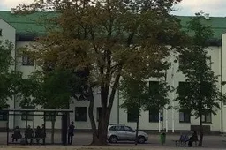 Dingo pas motinos seserį gyvenusi mergina