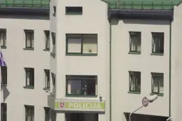 Į pakaušio sritį - paveikslo rėmu, pareigūnui kirto į galvą, sumušė septynmetį anūką, partrenkė trylikametę dviratininkę