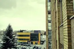 Ar eilės pas gydytojus sutrumpės?