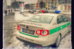 Įsibrovė į namą, surišo šeimininką, jo dukrą ir pagrobė pinigus (ATNAUJINTA. NUOTRAUKOS. VIDEO)