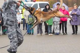 Policijos šventės dalyvius Alytuje sudomino technika, šunys ir košė (NUOTRAUKOS)