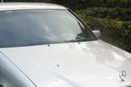Alytaus policijos pareigūnams siūlytas rekordinis kyšis (NUOTRAUKOS)