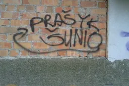 Alytaus miesto savivaldybės pozicija: grafičiai ant pastatų sienų – ne menas (NUOTRAUKOS)