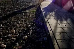 Prieplaukoje prie Nemuno - BMW su plastikiniu maišeliu, kuris sudomino policiją