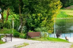 Naujienos iš Alytaus prieplaukos