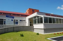 Kliudė šoniniu veidrodėliu, nukentėjusioji - ligoninėje (ATNAUJINTA)