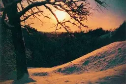 Alytaus rajone - santuokos ant piliakalnio, daugiau besituokiančių ir naujagimių