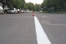 Nekokybišką Alytaus gatvių žymėjimo paslaugą teikusią „Manigą“ keičia „Biseris“ (NUOTRAUKOS)