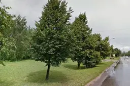 Į Alytų žengia Rytų Lietuvoje didžiausias prekybos tinklas