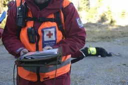 Norvegai pasidžiaugė, kad Alytuje dirba daug kvalifikuotų specialistų, o žmonės čia šilti ir svetingi
