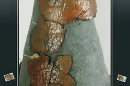 Nauji eksponatų gyvenimai