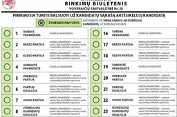 Savivaldybių tarybų rinkimai bus skaidresni