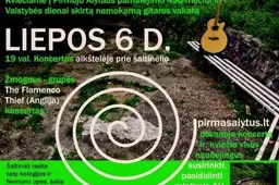 Liepos 6-ąją – nemokamas gitaros koncertas Pirmame Alytuje