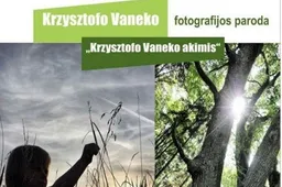 Rotušės galerija – arčiau žmonių
