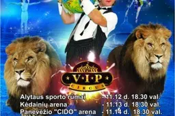Alytaus arenoje – cirko programa „Liūtų karalystė“