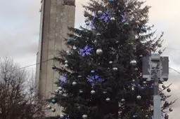 Sprogdino petardą Alytaus rotušės aikštėje - susižalojo ranką