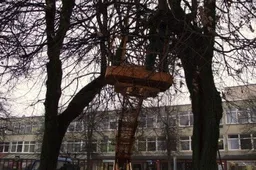 Kalėdų eglutė Alytuje bus įžiebta gruodžio 5 dieną (ATNAUJINTA)