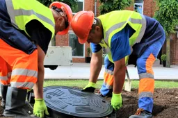 Raides CCP ant dangčių Alytuje keičia rožės simbolis