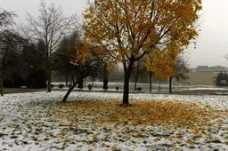 Po žiemiškų orų tarpsnio į Lietuvą sugrįš ruduo