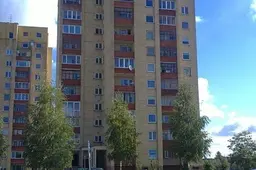 Iššoko iš vienuoliktojo aukšto (NUOTRAUKOS)
