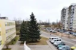 Partrenkę pėsčiąją – pavežėjo iki namų