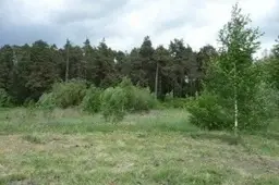 Alytaus Sanatorijos gatvėje žuvo ekskavatorininkas