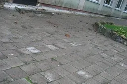 Būtina remontuoti Ūdrijos kultūros namų stogą, spręsti Santaikos salės šildymo ir tualetų problemą, pakeisti lietvamzdžius Luksnėnuose bei tvarkyti pastatą Miroslave