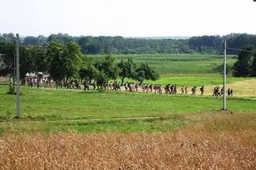 Šaulių stovykloje vaikams - išgyvenimo lauko sąlygomis ypatumai, 60 kilometrų pėsčiomis ir skrydis virš Dzūkijos (VIDEO)