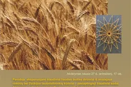Etnografinių regionų metų parodos atidaryme - Rugiaveidės muzika ir dokumentinis filmas „Dangaus sodai“