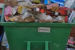 Tvarka Alytaus mieste rūpinsis „Druskininkų komunalinis ūkis" ir Kretingos rajone registruota įmonė (TV REPORTAŽAS)