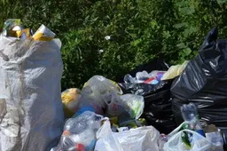 Atliekų tvarkytojų eksperimentas: nėra konteinerių – nėra šiukšlyno!