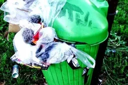 „Alytaus parkams“ patikėtas didesnis miesto tvarkymo plotas