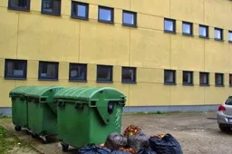 Eglutės Alytaus mieste renkamos prie žalių konteinerių