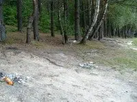 Už bešeimininkių šiukšlių tvarkymą mokami mokesčių mokėtojų pinigai