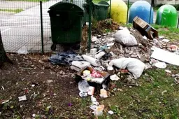Rūšiuoti atliekas padeda „meduolis ir botagas“?