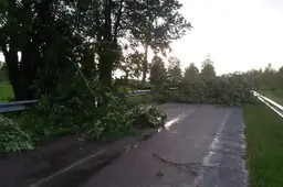 Škvalas Dzūkijoje tūkstančius žmonių paliko be elektros ir susisiekimo