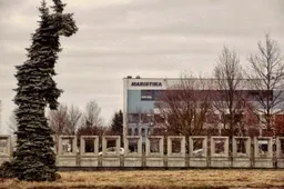 Užstrigę Naujosios gatvės pramoninės zonos tvarkymo darbai bus atnaujinti