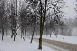 Vairuotojai Alytaus regiono keliuose prašomi būti atidūs ir neskubėti - daug slidžių ruožų!