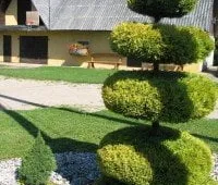 Išrinktos gražiausios Alytaus rajono sodybos