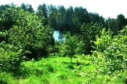 „Dzūkijos” sodų bendrijoje išaiškinti nelegalūs mėsos cechai