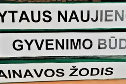 Per parą su žiniasklaida gyventojai praleidžia beveik pilną darbo dieną