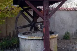 Kas gyvena alytiškių šuliniuose?