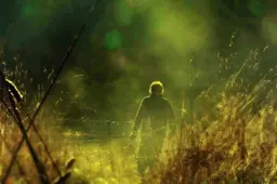 Trys asmenys miške žagino nepilnametę