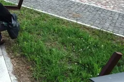 Ant suoliukų galėsime ir atsisėsti (NUOTRAUKOS)