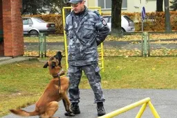 Šuo Enzo nenorėjo paleisti ,,grobio“ ir pakibo ore