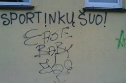 „Šuo” inventorizuoja Alytaus sienas - naujausi nuotykiai (NUOTRAUKOS)