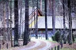 Teismas Svajonių gatvėje areštuoto namo Daugėloms neatidavė