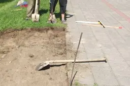 Sveikatos take Alytuje - daugiau suoliukų